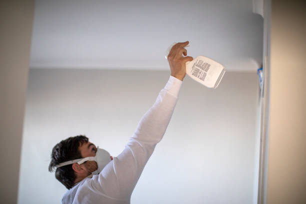 Best Black Mold Removal  in Ansonia, OH