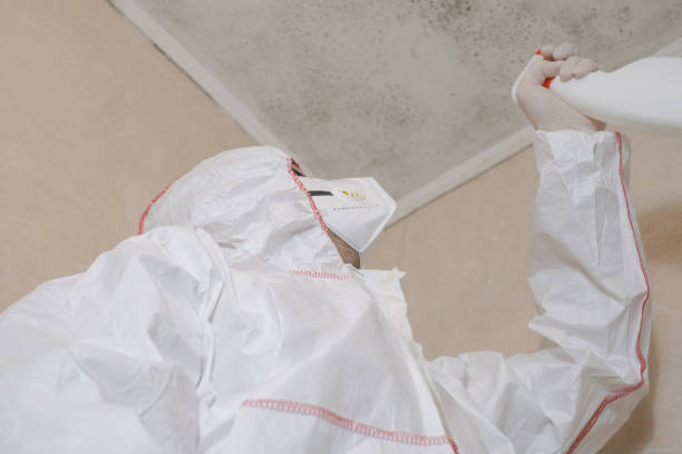 Best Residential Mold Removal  in Ansonia, OH