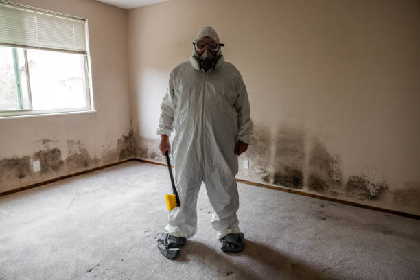 Best Professional Mold Removal  in Ansonia, OH